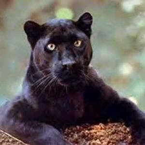 Meet your Posher, Sharla